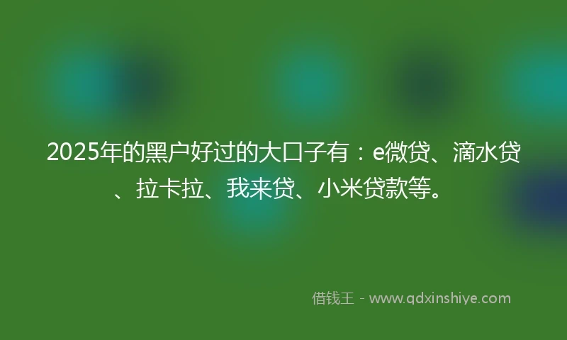 2025年的黑户好过的大口子有：e微贷、滴水贷、拉卡拉、我来贷、小米贷款等。