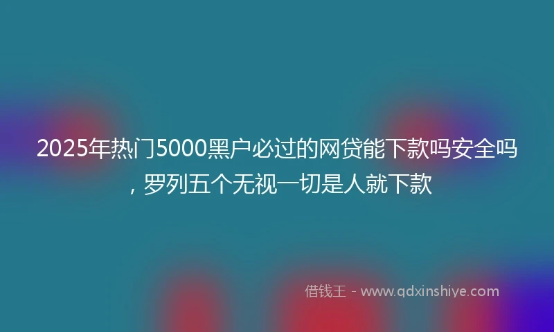 2025年热门5000黑户必过的网贷能下款吗安全吗，罗列五个无视一切是人就下款