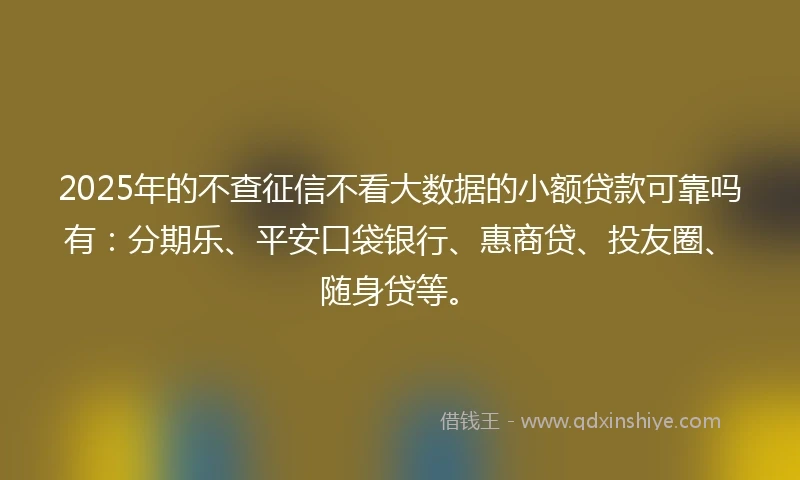 2025年的不查征信不看大数据的小额贷款可靠吗有：分期乐、平安口袋银行、惠商贷、投友圈、随身贷等。