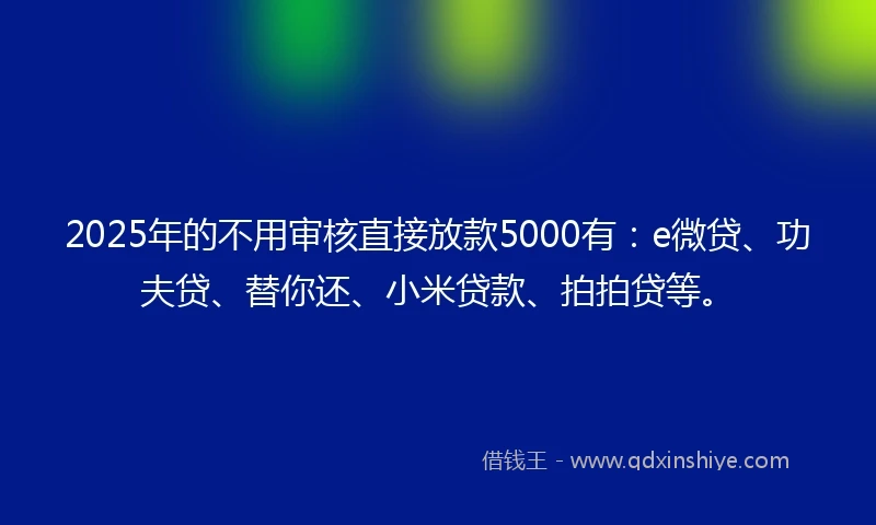 2025年的不用审核直接放款5000有：e微贷、功夫贷、替你还、小米贷款、拍拍贷等。