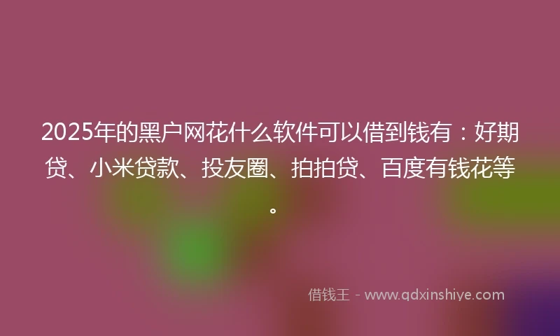 2025年的黑户网花什么软件可以借到钱有：好期贷、小米贷款、投友圈、拍拍贷、百度有钱花等。