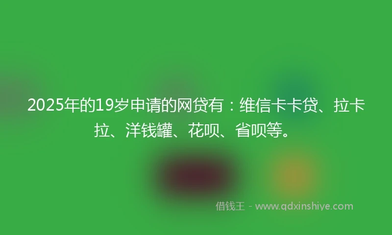 2025年的19岁申请的网贷有：维信卡卡贷、拉卡拉、洋钱罐、花呗、省呗等。