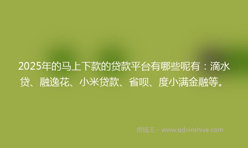 2025年的马上下款的贷款平台有哪些呢有：滴水贷、融逸花、小米贷款、省呗、度小满金融等。