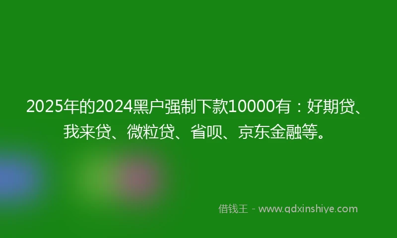 2025年的2024黑户强制下款10000有：好期贷、我来贷、微粒贷、省呗、京东金融等。