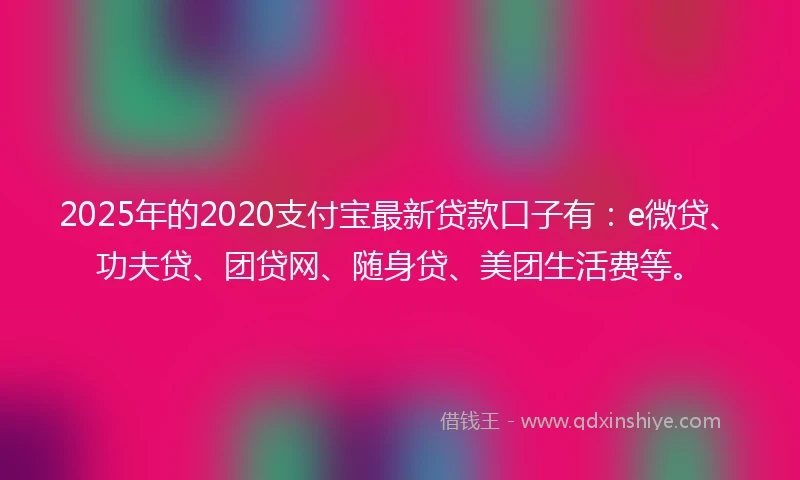 2025年的2020支付宝最新贷款口子有：e微贷、功夫贷、团贷网、随身贷、美团生活费等。