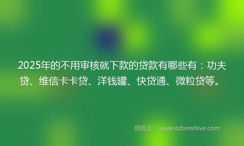 2025年的不用审核就下款的贷款有哪些有：功夫贷、维信卡卡贷、洋钱罐、快贷通、微粒贷等。