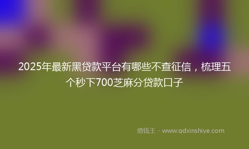 2025年最新黑贷款平台有哪些不查征信，梳理五个秒下700芝麻分贷款口子