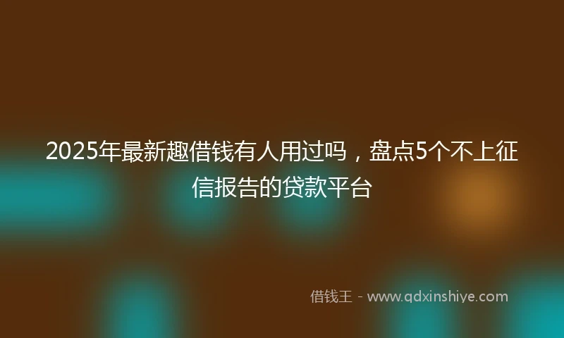 2025年最新趣借钱有人用过吗，盘点5个不上征信报告的贷款平台
