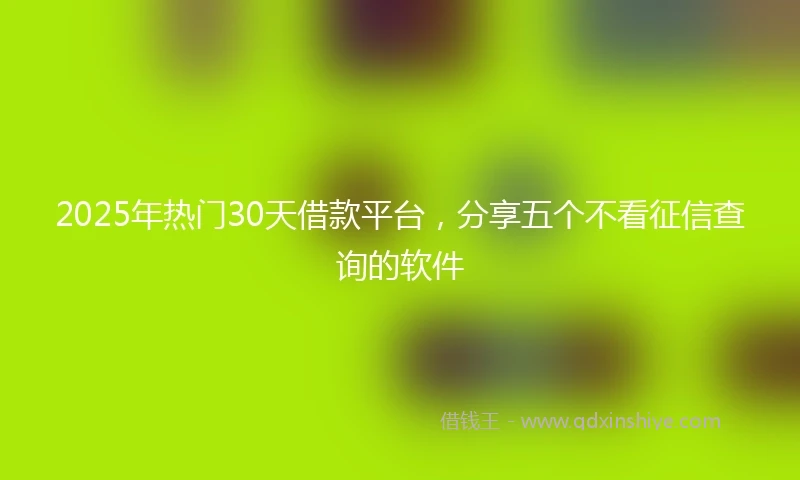 2025年热门30天借款平台，分享五个不看征信查询的软件