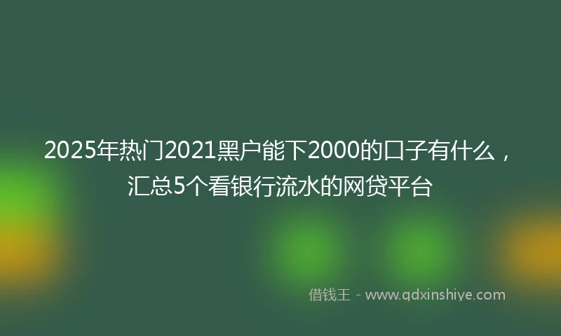 2025年热门2021黑户能下2000的口子有什么，汇总5个看银行流水的网贷平台