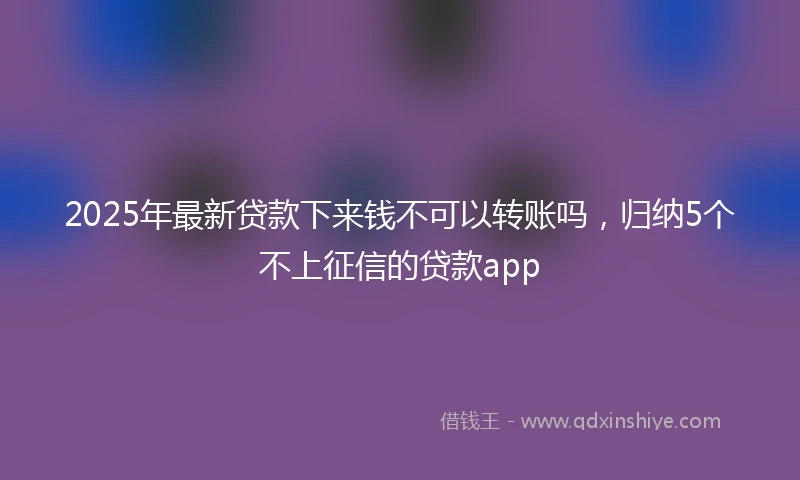 2025年最新贷款下来钱不可以转账吗，归纳5个不上征信的贷款app