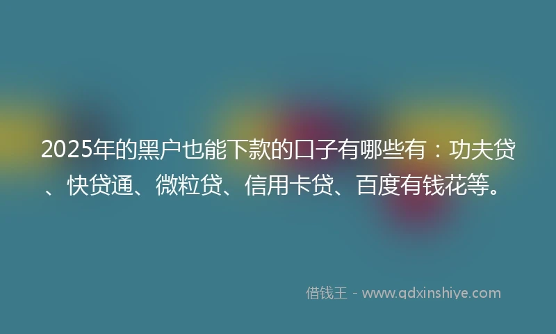 2025年的黑户也能下款的口子有哪些有：功夫贷、快贷通、微粒贷、信用卡贷、百度有钱花等。