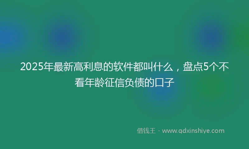 2025年最新高利息的软件都叫什么，盘点5个不看年龄征信负债的口子