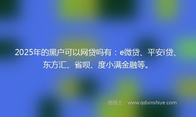 2025年的黑户可以网贷吗有：e微贷、平安i贷、东方汇、省呗、度小满金融等。