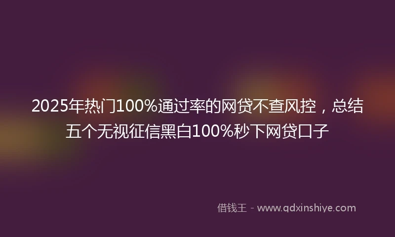 2025年热门100%通过率的网贷不查风控，总结五个无视征信黑白100%秒下网贷口子