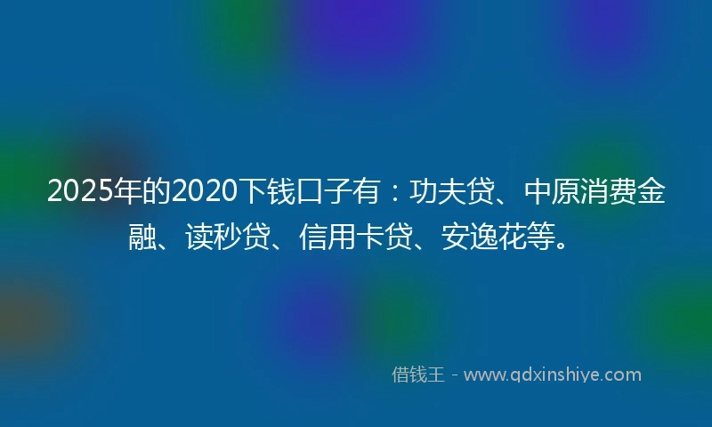 2025年的2020下钱口子有：功夫贷、中原消费金融、读秒贷、信用卡贷、安逸花等。