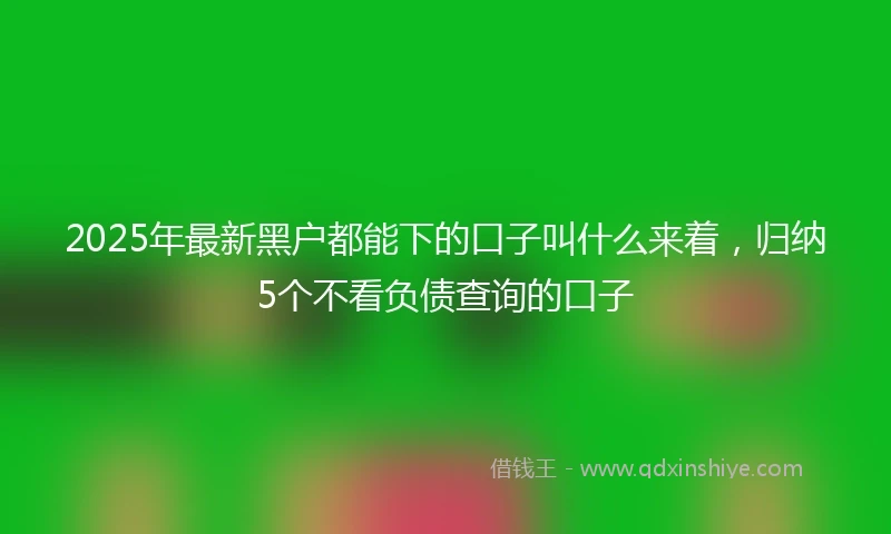 2025年最新黑户都能下的口子叫什么来着，归纳5个不看负债查询的口子
