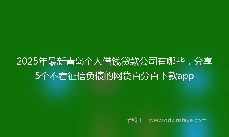 2025年最新青岛个人借钱贷款公司有哪些，分享5个不看征信负债的网贷百分百下款app