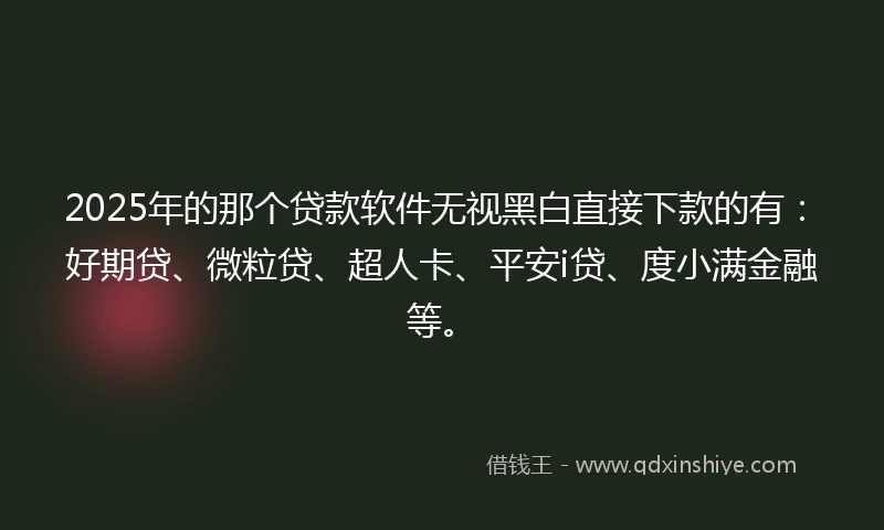 2025年的那个贷款软件无视黑白直接下款的有：好期贷、微粒贷、超人卡、平安i贷、度小满金融等。