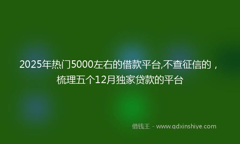 2025年热门5000左右的借款平台,不查征信的，梳理五个12月独家贷款的平台