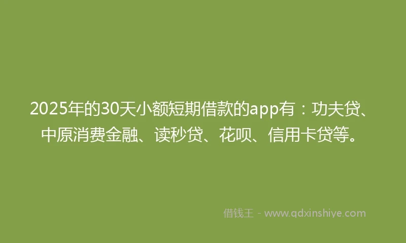 2025年的30天小额短期借款的app有：功夫贷、中原消费金融、读秒贷、花呗、信用卡贷等。