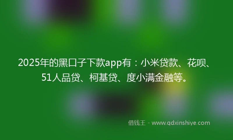 2025年的黑口子下款app有：小米贷款、花呗、51人品贷、柯基贷、度小满金融等。