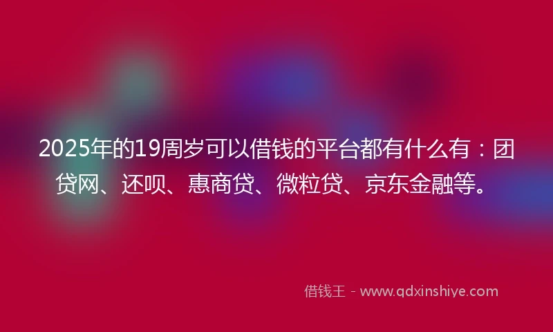 2025年的19周岁可以借钱的平台都有什么有：团贷网、还呗、惠商贷、微粒贷、京东金融等。