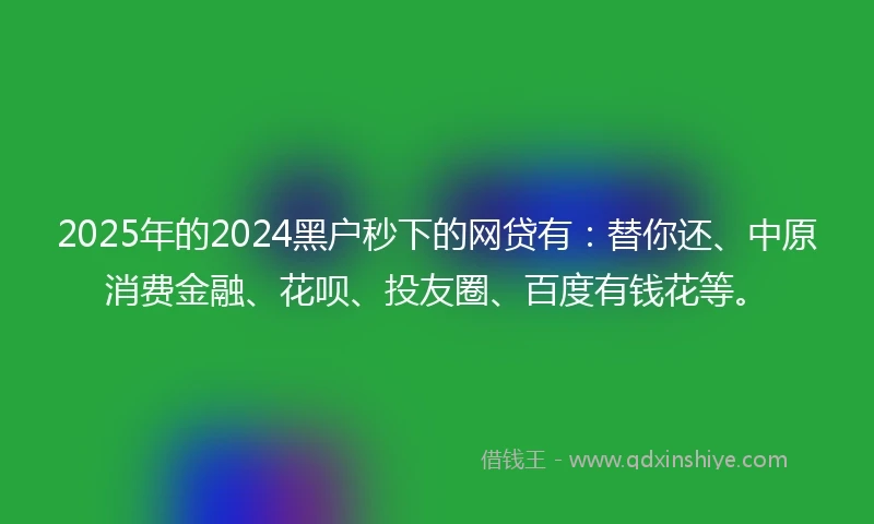 2025年的2024黑户秒下的网贷有：替你还、中原消费金融、花呗、投友圈、百度有钱花等。