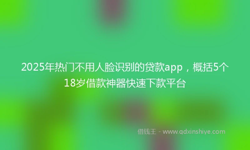 2025年热门不用人脸识别的贷款app，概括5个18岁借款神器快速下款平台