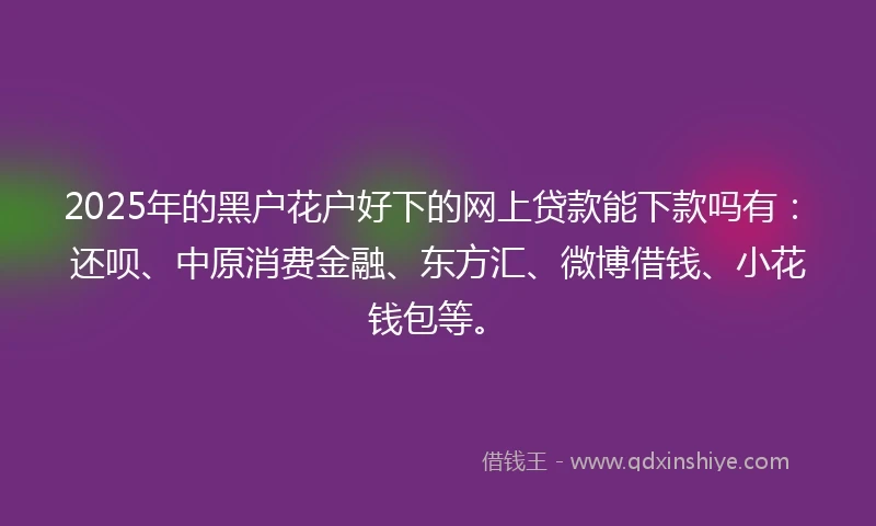 2025年的黑户花户好下的网上贷款能下款吗有：还呗、中原消费金融、东方汇、微博借钱、小花钱包等。