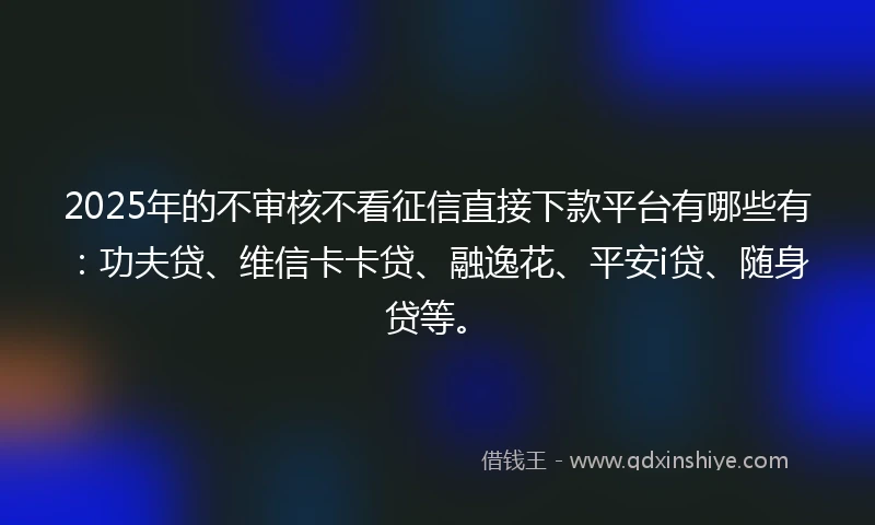 2025年的不审核不看征信直接下款平台有哪些有：功夫贷、维信卡卡贷、融逸花、平安i贷、随身贷等。