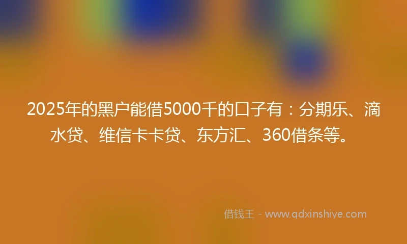 2025年的黑户能借5000千的口子有：分期乐、滴水贷、维信卡卡贷、东方汇、360借条等。