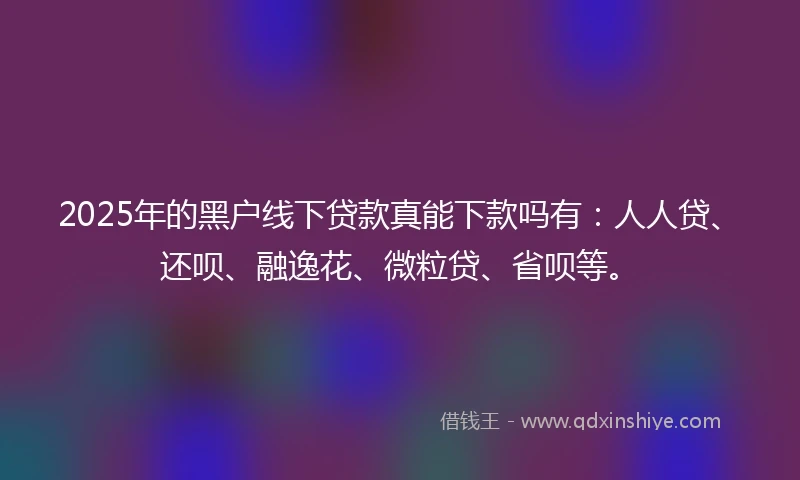 2025年的黑户线下贷款真能下款吗有：人人贷、还呗、融逸花、微粒贷、省呗等。