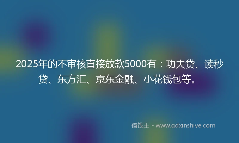 2025年的不审核直接放款5000有：功夫贷、读秒贷、东方汇、京东金融、小花钱包等。