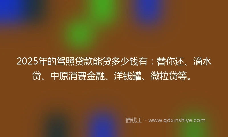 2025年的驾照贷款能贷多少钱有：替你还、滴水贷、中原消费金融、洋钱罐、微粒贷等。