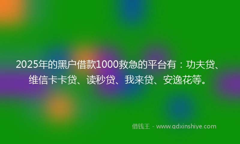 2025年的黑户借款1000救急的平台有：功夫贷、维信卡卡贷、读秒贷、我来贷、安逸花等。