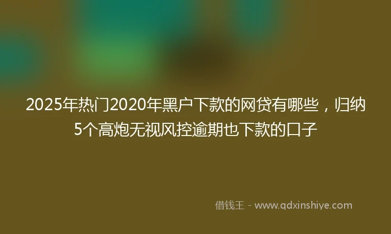 2025年热门2020年黑户下款的网贷有哪些，归纳5个高炮无视风控逾期也下款的口子