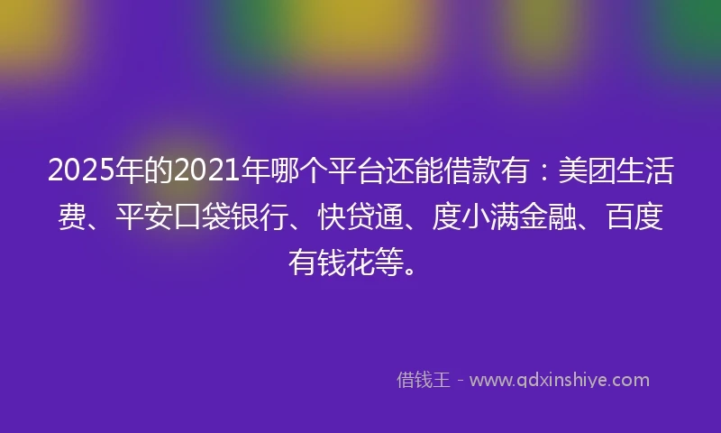 2025年的2021年哪个平台还能借款有：美团生活费、平安口袋银行、快贷通、度小满金融、百度有钱花等。