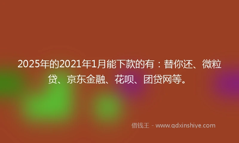 2025年的2021年1月能下款的有：替你还、微粒贷、京东金融、花呗、团贷网等。