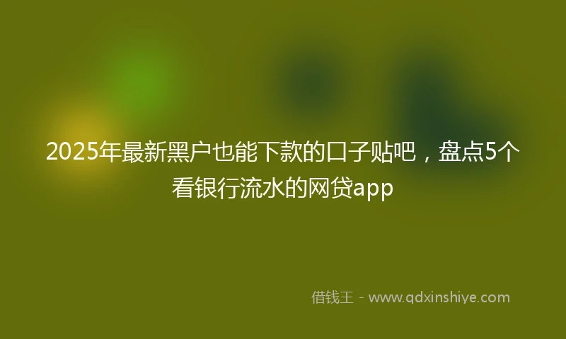 2025年最新黑户也能下款的口子贴吧，盘点5个看银行流水的网贷app