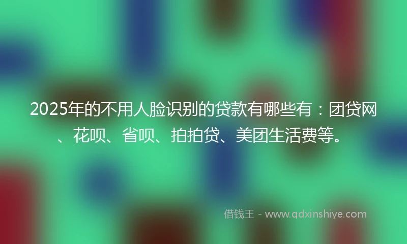 2025年的不用人脸识别的贷款有哪些有：团贷网、花呗、省呗、拍拍贷、美团生活费等。