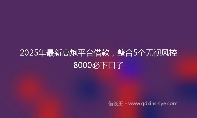 2025年最新高炮平台借款，整合5个无视风控8000必下口子