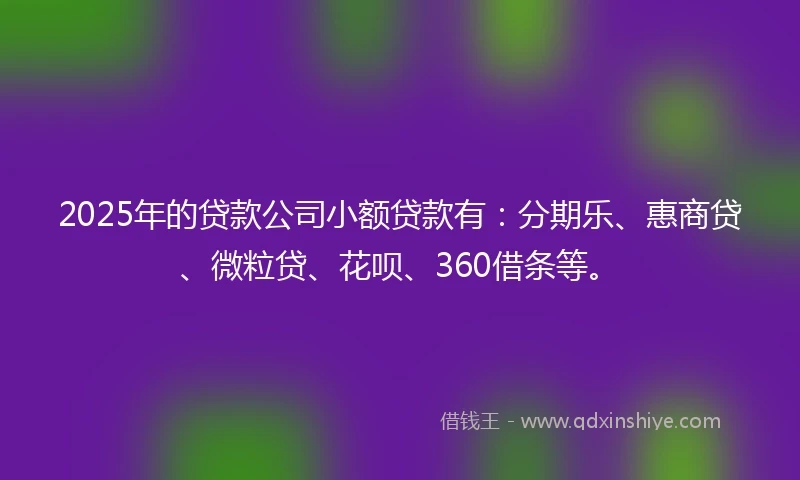 2025年的贷款公司小额贷款有：分期乐、惠商贷、微粒贷、花呗、360借条等。