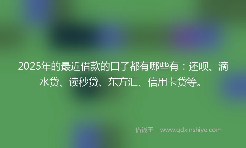 2025年的最近借款的口子都有哪些有：还呗、滴水贷、读秒贷、东方汇、信用卡贷等。