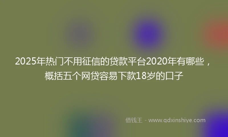 2025年热门不用征信的贷款平台2020年有哪些，概括五个网贷容易下款18岁的口子