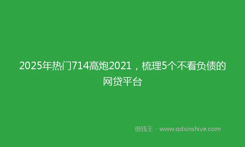 2025年热门714高炮2021，梳理5个不看负债的网贷平台