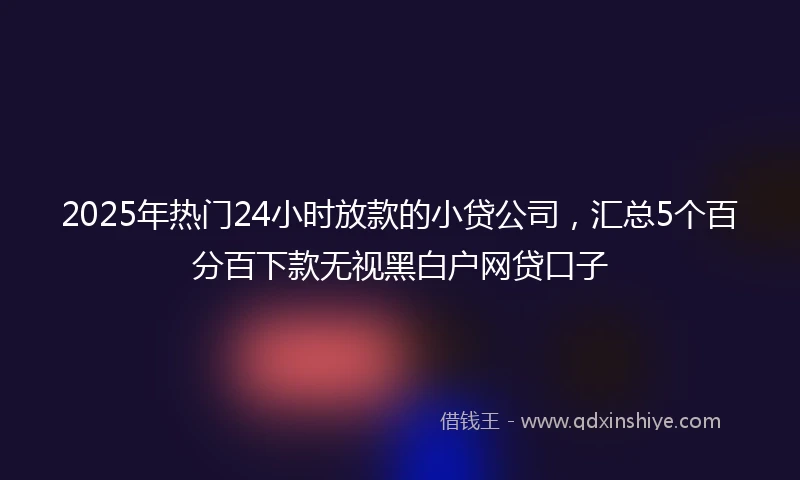 2025年热门24小时放款的小贷公司，汇总5个百分百下款无视黑白户网贷口子