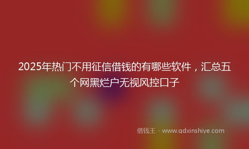 2025年热门不用征信借钱的有哪些软件，汇总五个网黑烂户无视风控口子