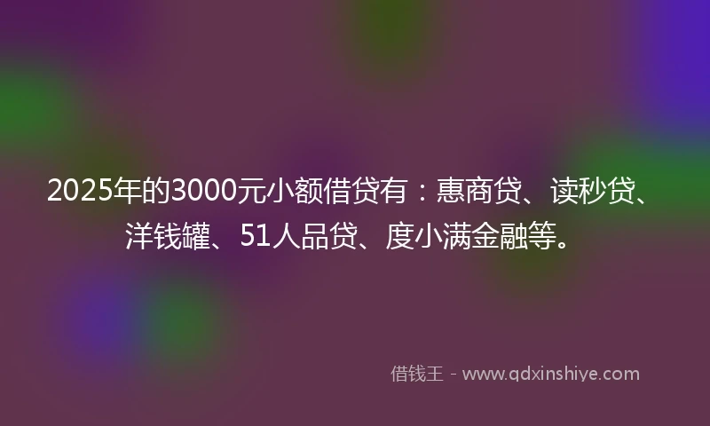 2025年的3000元小额借贷有：惠商贷、读秒贷、洋钱罐、51人品贷、度小满金融等。