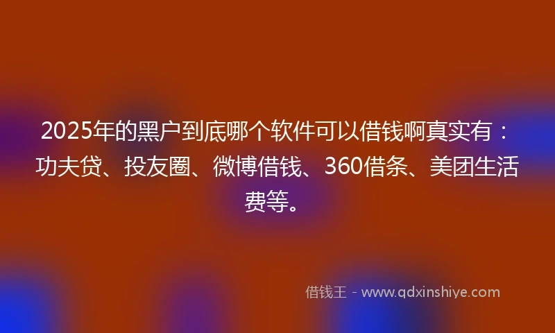2025年的黑户到底哪个软件可以借钱啊真实有：功夫贷、投友圈、微博借钱、360借条、美团生活费等。